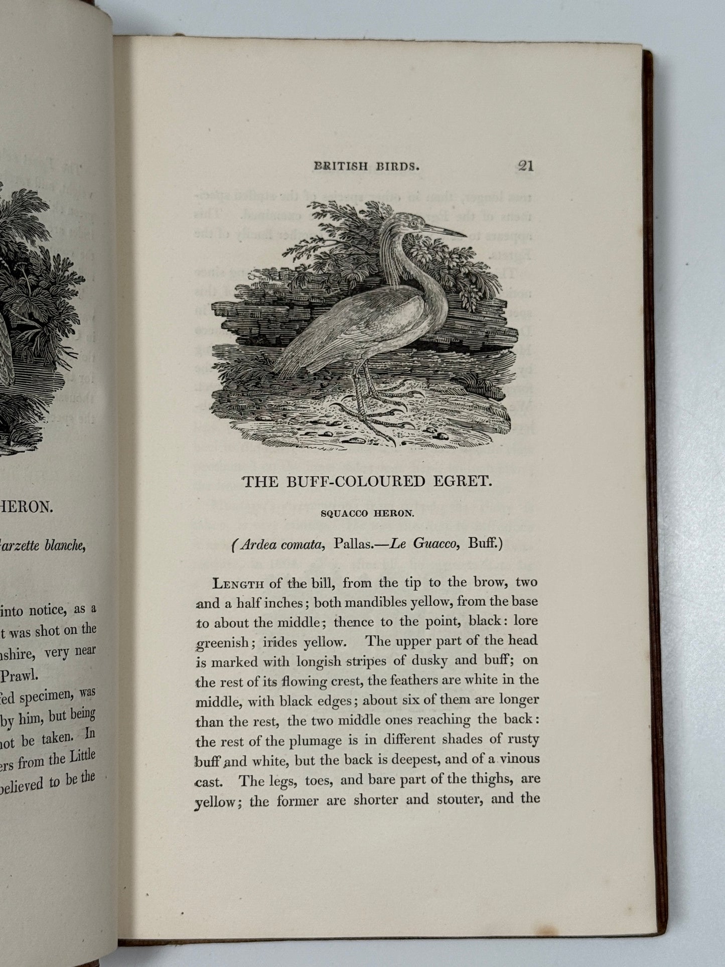A History of British Birds by Thomas Bewick 1832: Thomas Fowell Buxton's Copy