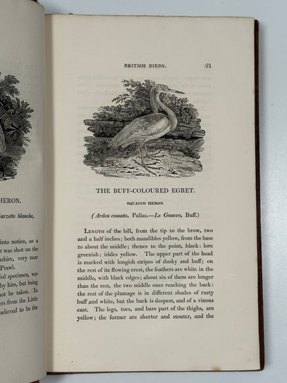 A History of British Birds by Thomas Bewick 1832: Thomas Fowell Buxton's Copy