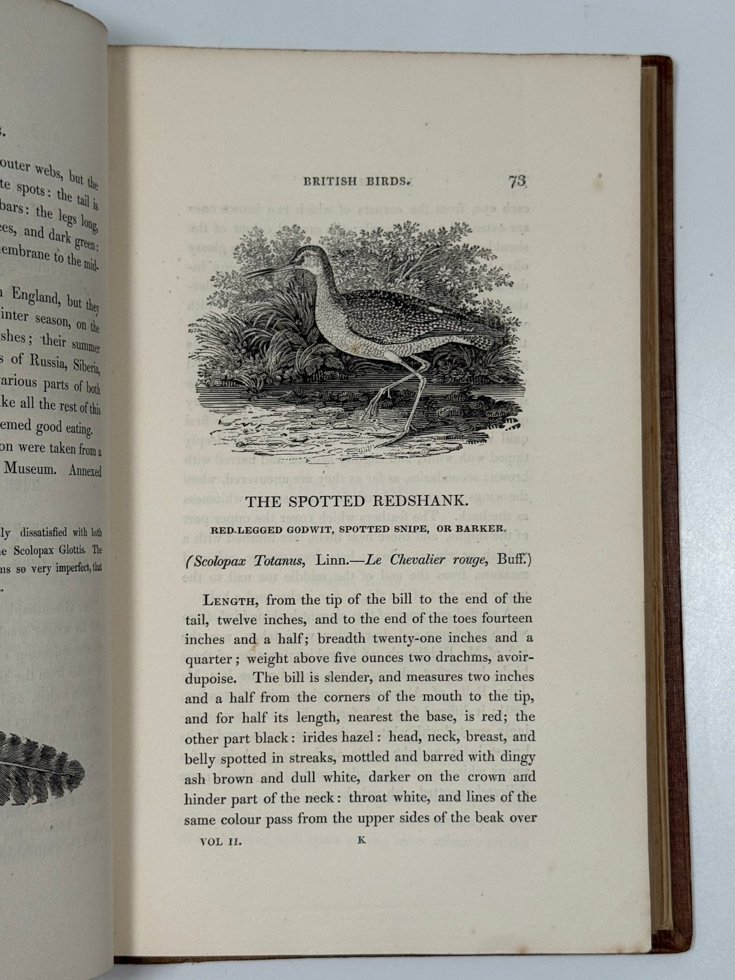 A History of British Birds by Thomas Bewick 1832: Thomas Fowell Buxton's Copy