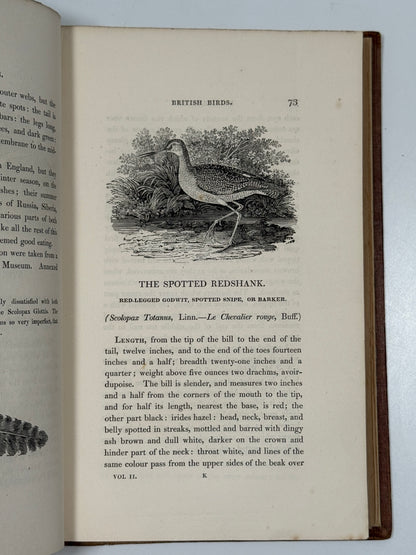 A History of British Birds by Thomas Bewick 1832: Thomas Fowell Buxton's Copy