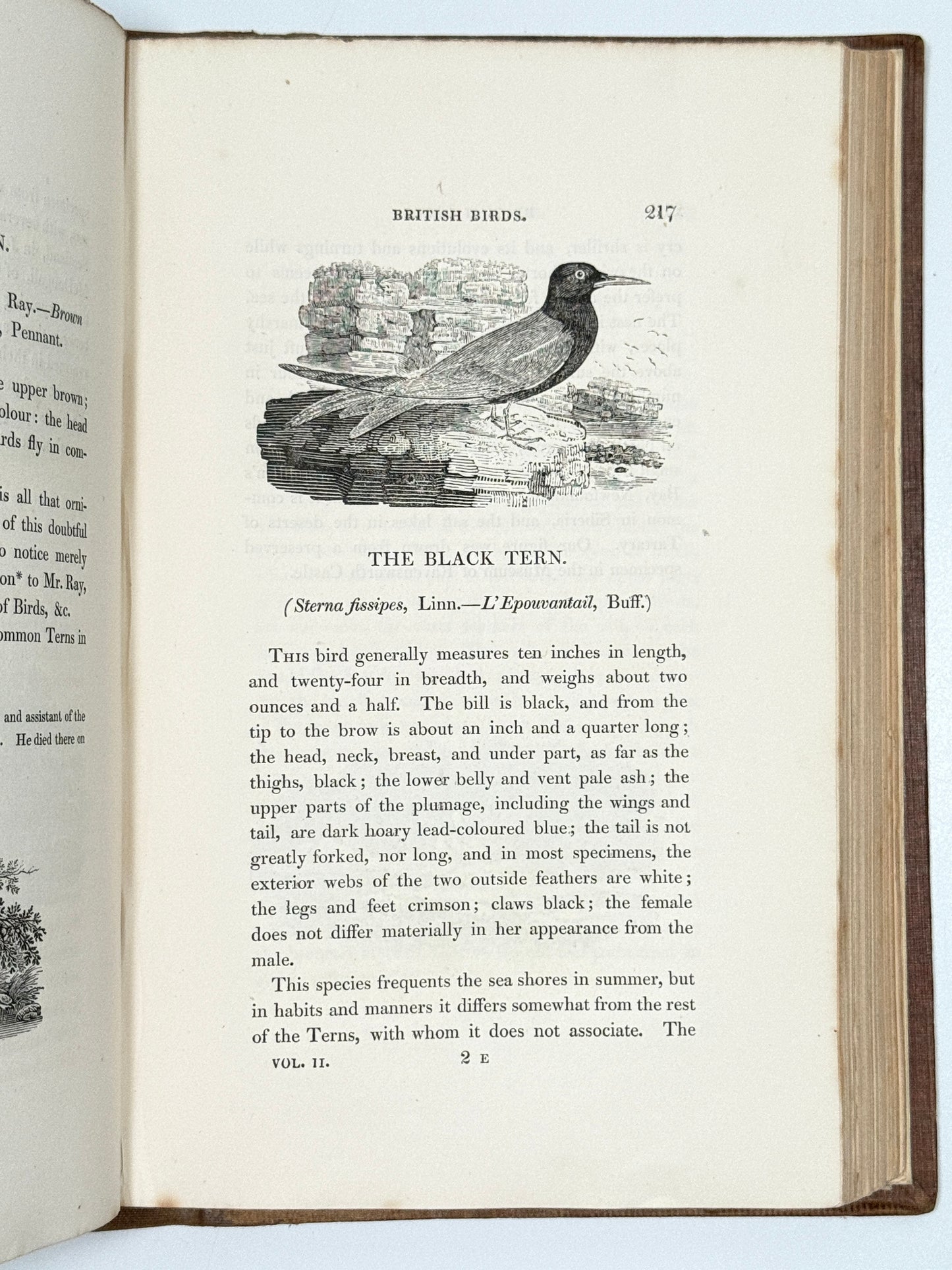 A History of British Birds by Thomas Bewick 1832: Thomas Fowell Buxton's Copy