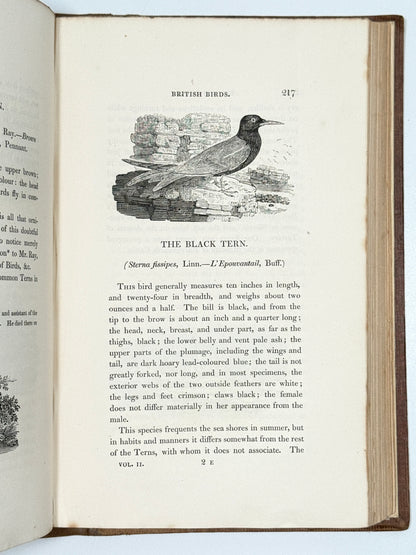 A History of British Birds by Thomas Bewick 1832: Thomas Fowell Buxton's Copy