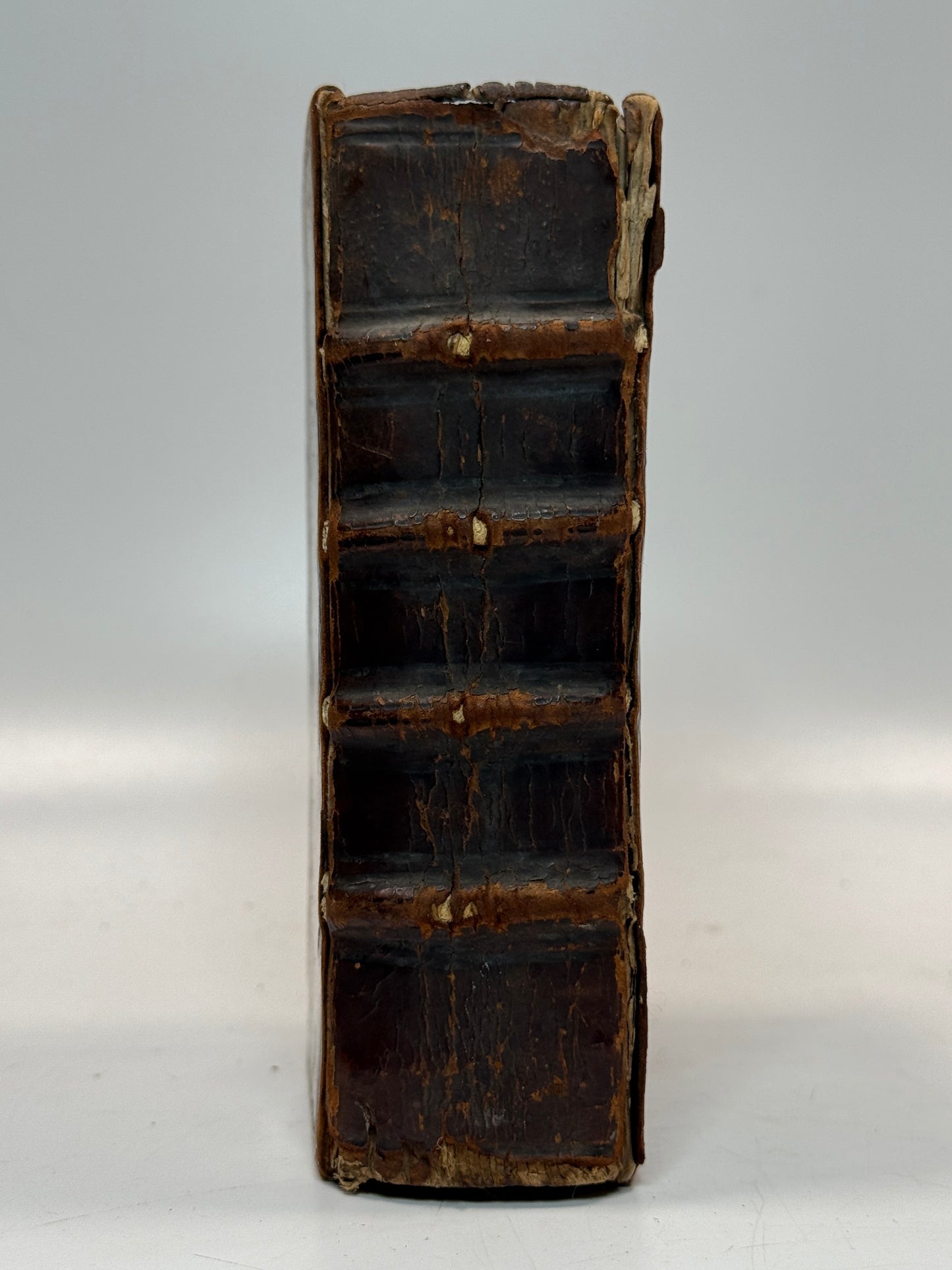 The Complete Works of Seneca 1618