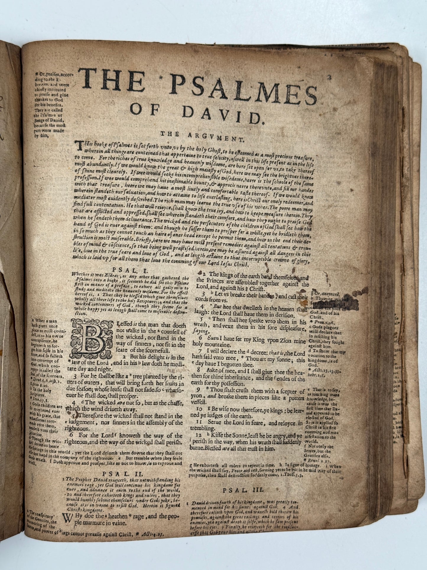 Antique Bible 1599 Geneva Bible