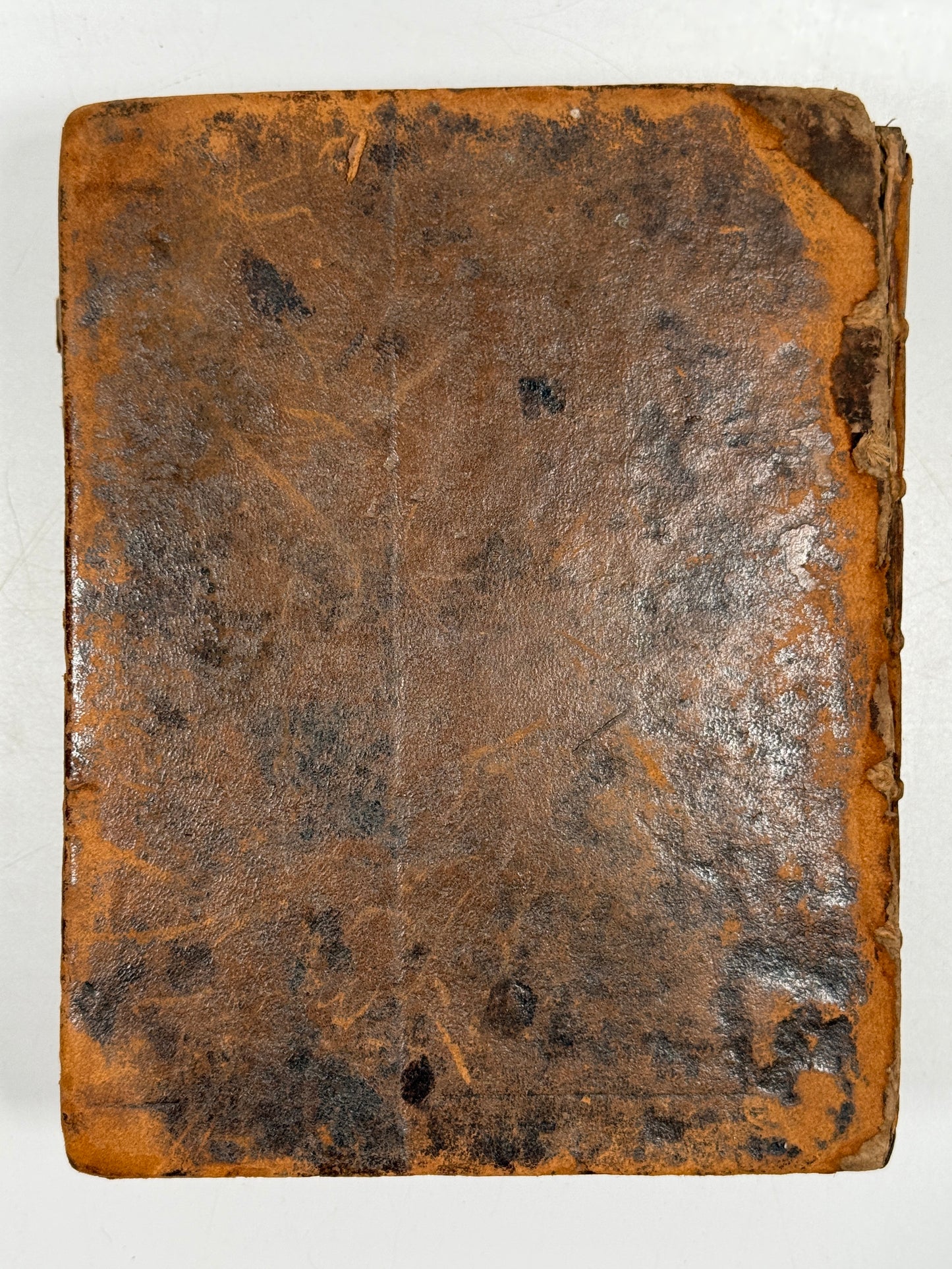 Antique Bible 1599 Geneva Bible