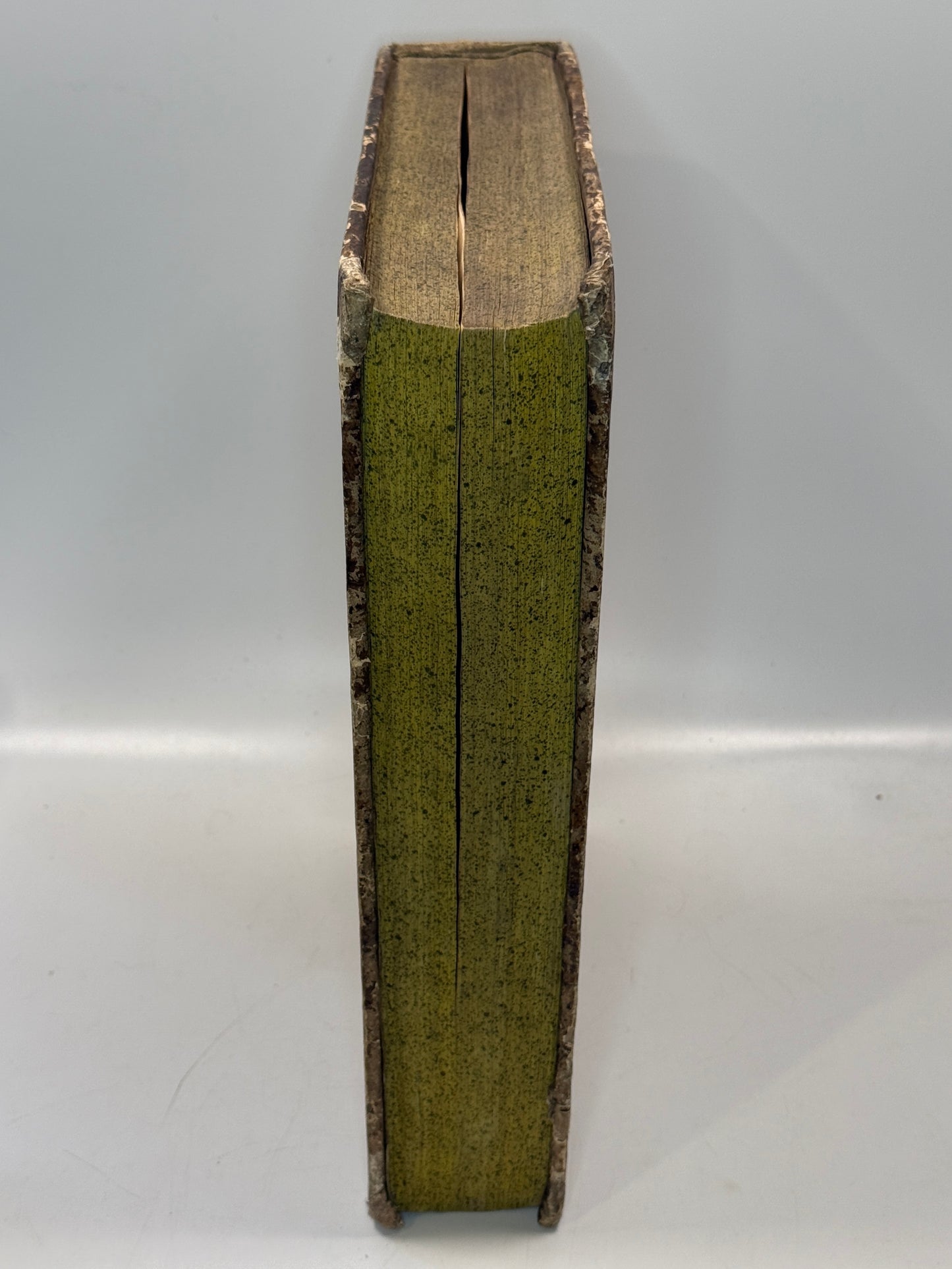 Commentary on the Gospels 1597 John Maldonatus