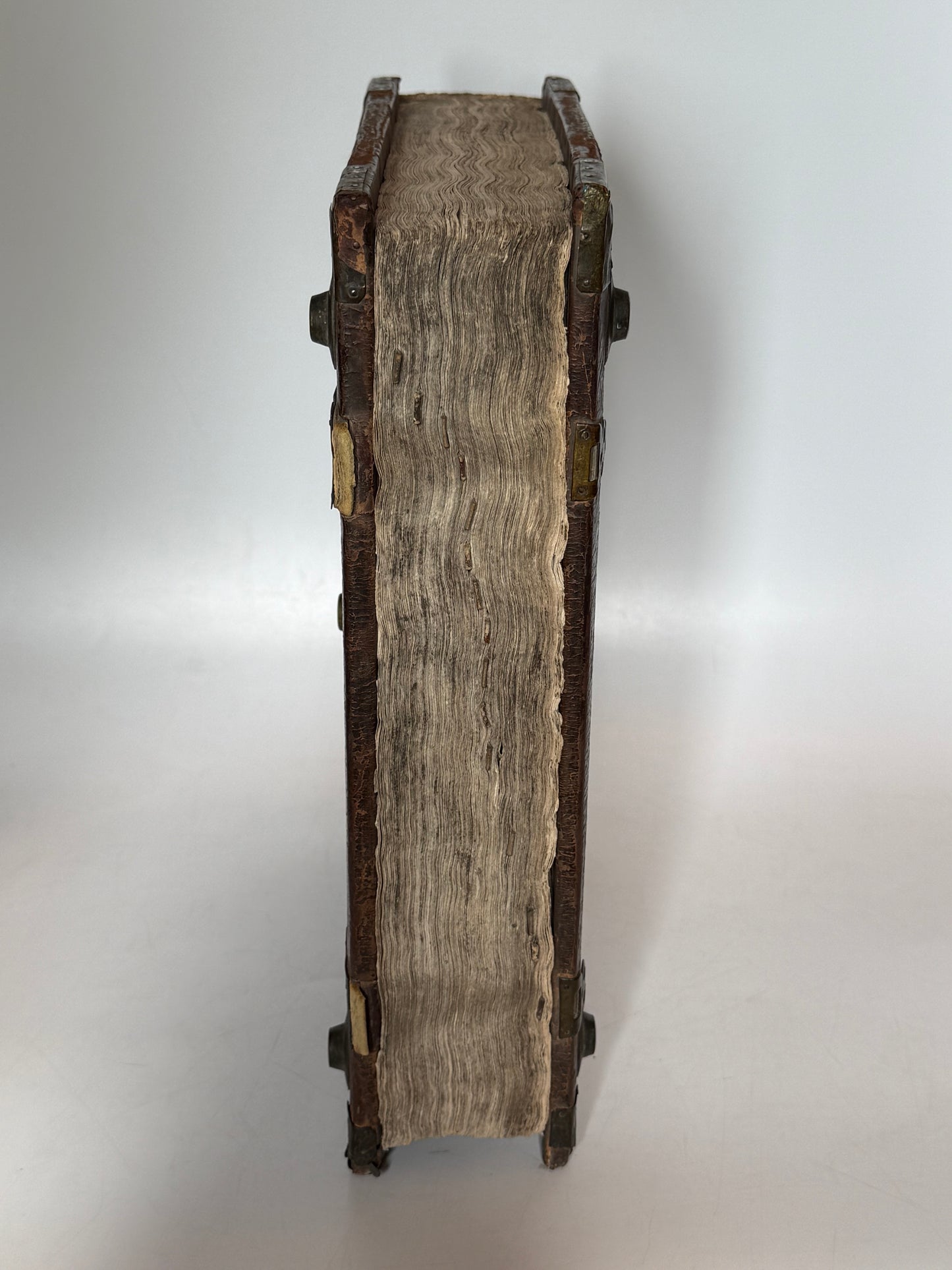 Bartholomaeus Anglicus' Encyclopaedia 1483 INCUNABLE Binding, Koberger