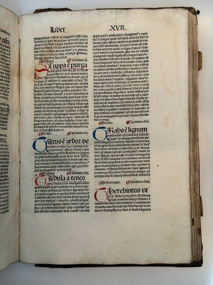 Bartholomaeus Anglicus' Encyclopaedia 1483 INCUNABLE Binding, Koberger