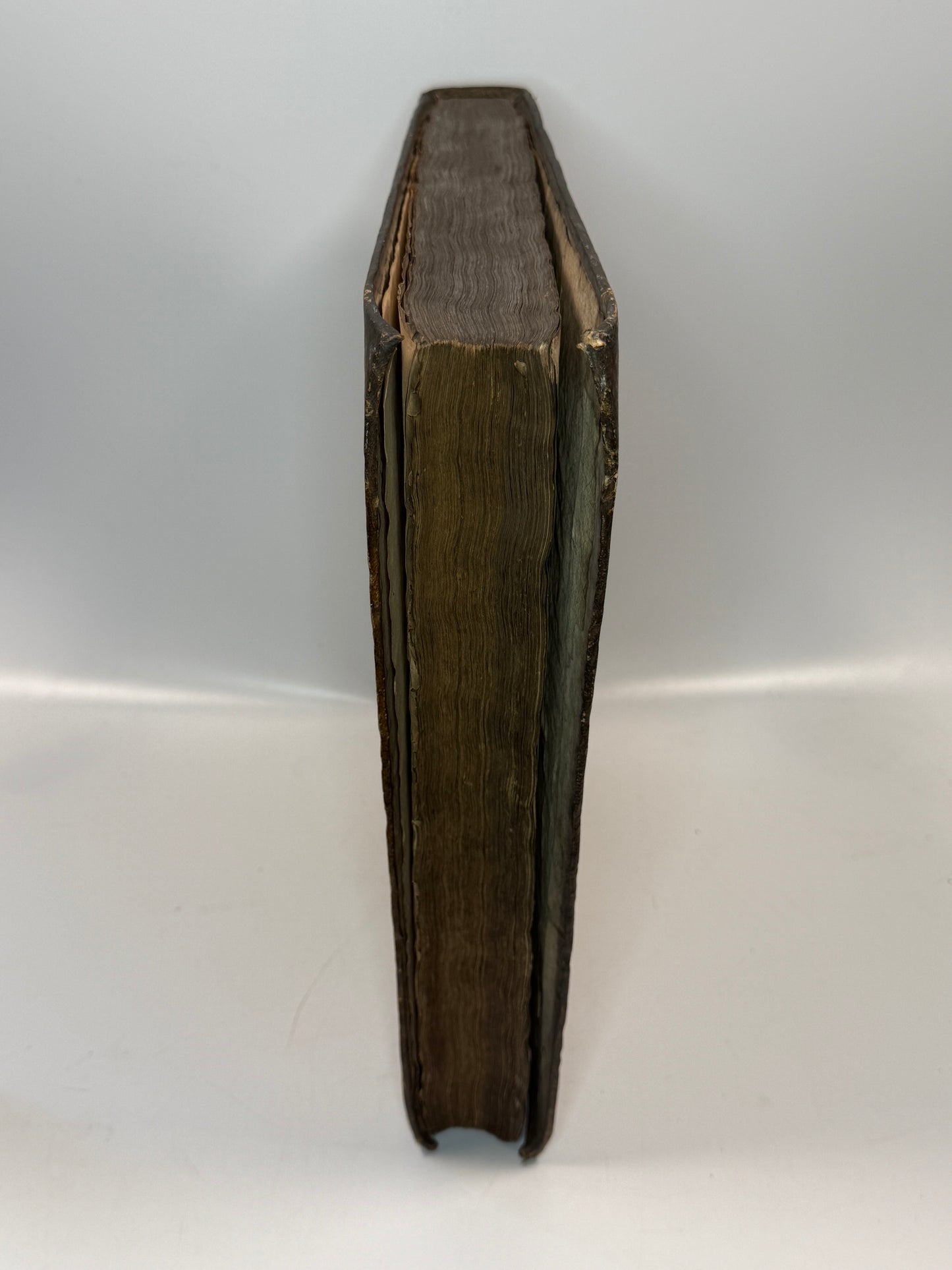 Catholic Theology, Council of Trent by Augustinus Barbosa 1643