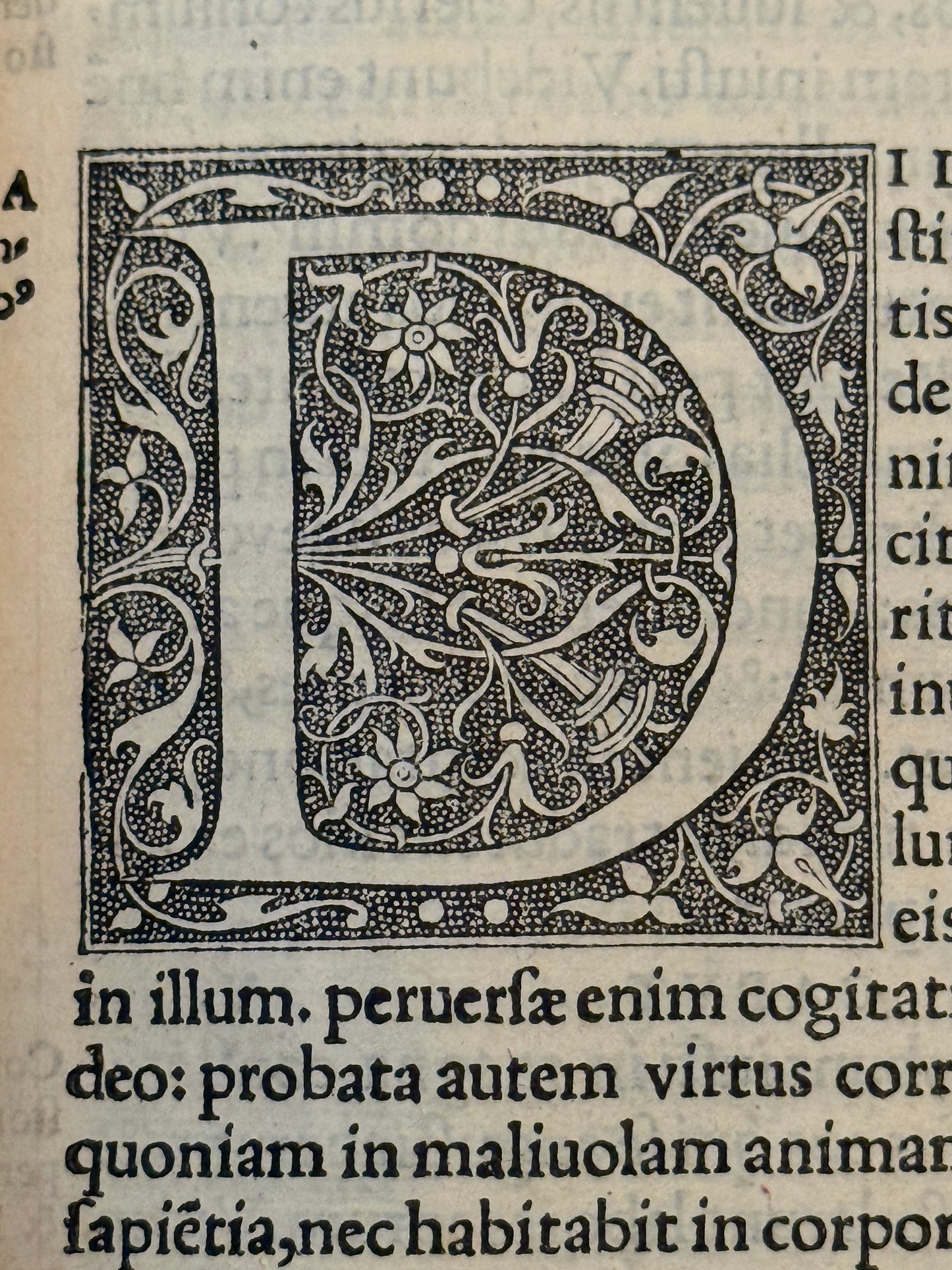 Antique Bible 1528 Estienne First Edition, Vulgate, Hand-Coloured
