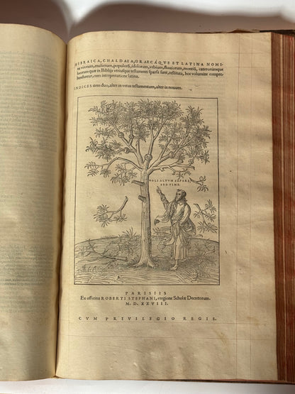 Antique Bible 1528 Estienne First Edition, Vulgate, Hand-Coloured