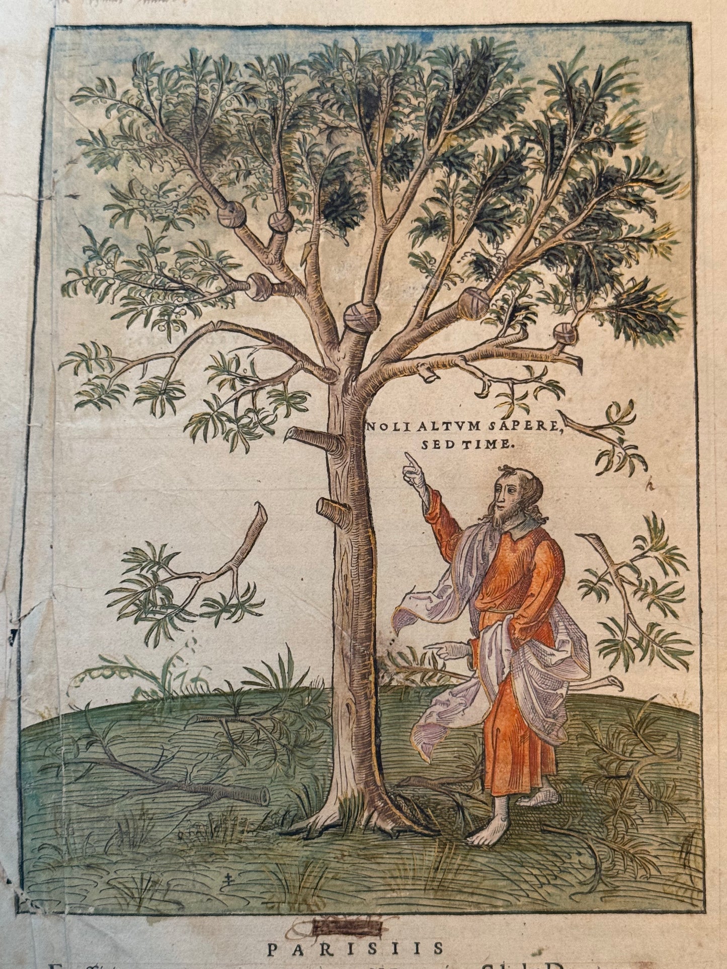 Antique Bible 1528 Estienne First Edition, Vulgate, Hand-Coloured