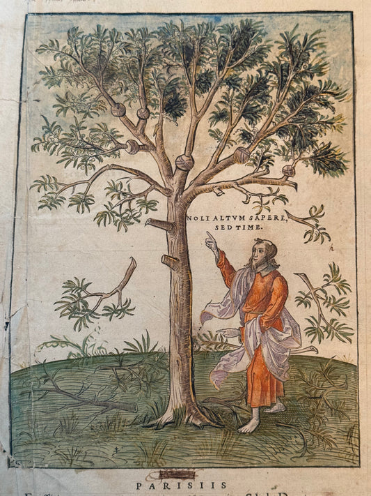 Antique Bible 1528 Estienne First Edition, Vulgate, Hand-Coloured