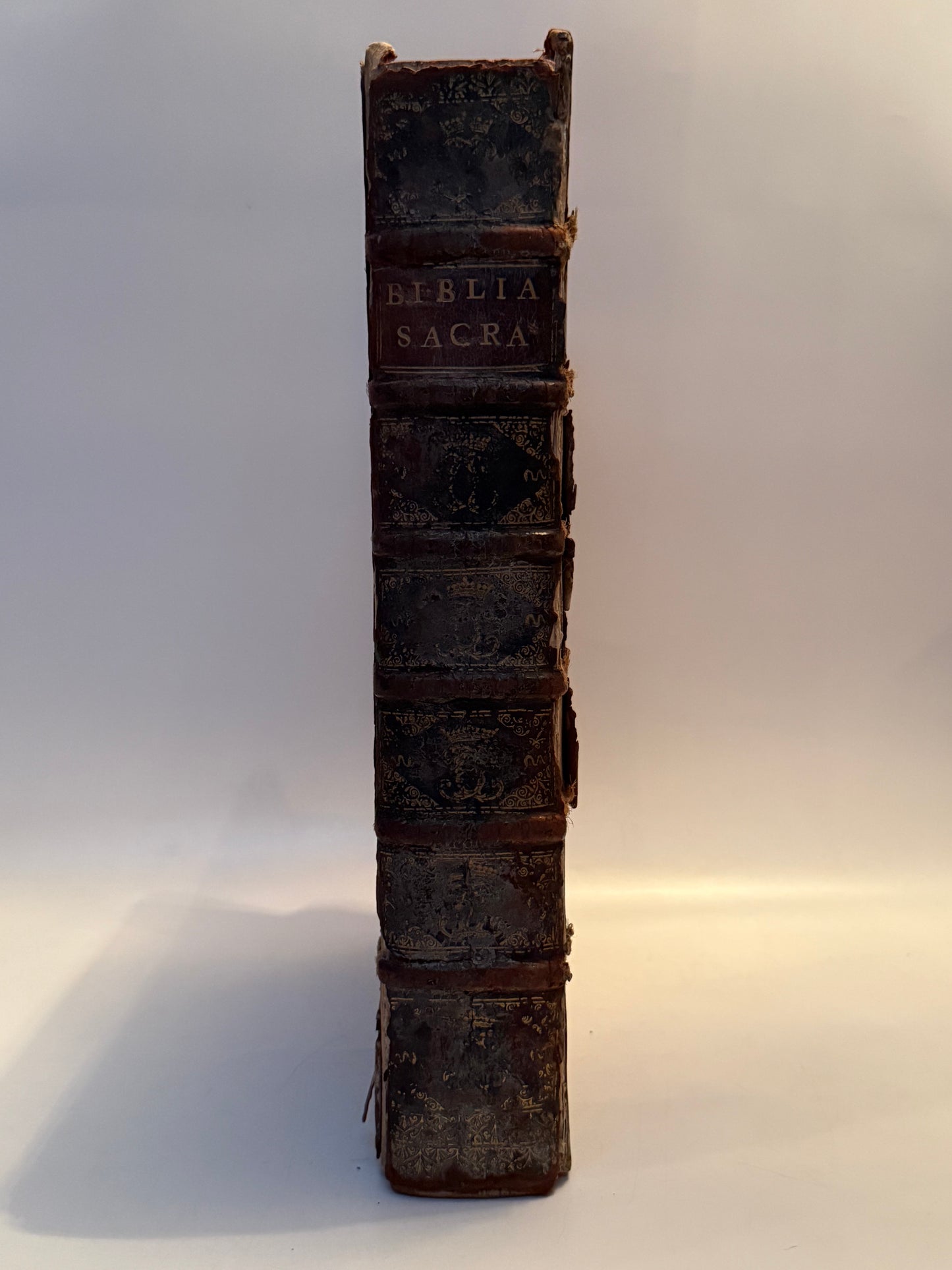 Antique Bible 1528 Estienne First Edition, Vulgate, Hand-Coloured