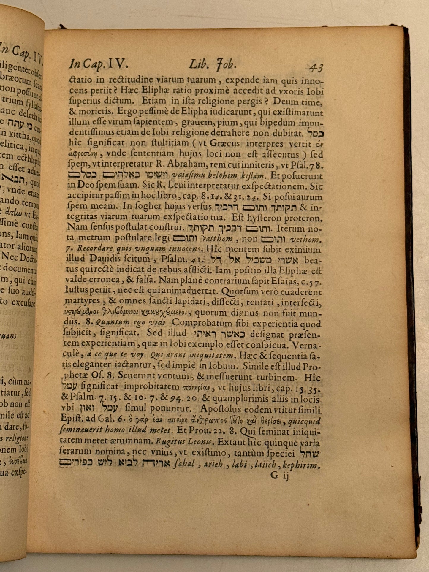 Philippe Codurc on Job 1651 First Edition