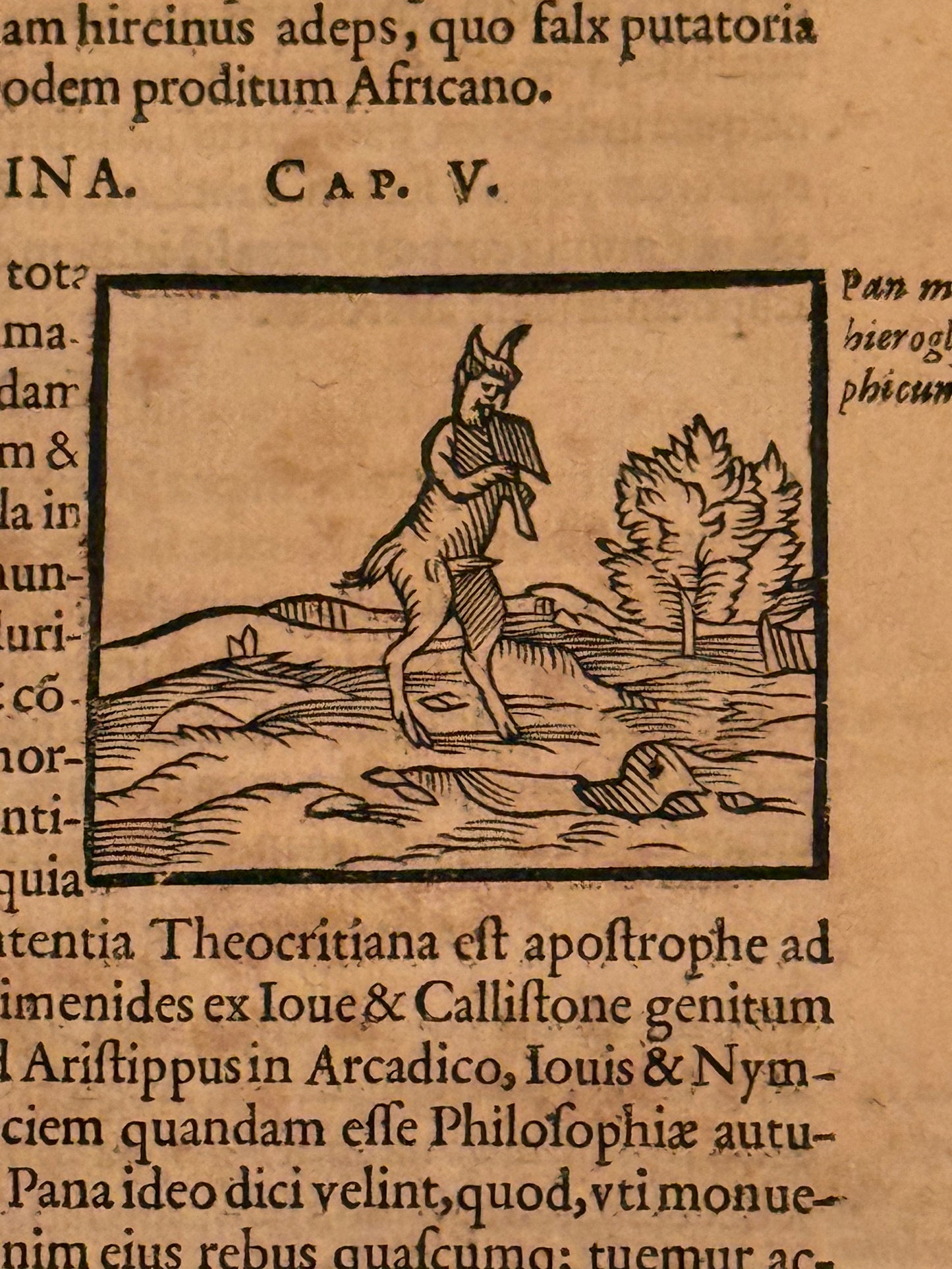 Valeriano's Hieroglyphica 1614