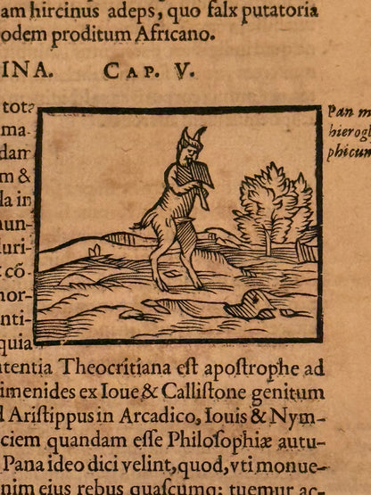 Valeriano's Hieroglyphica 1614