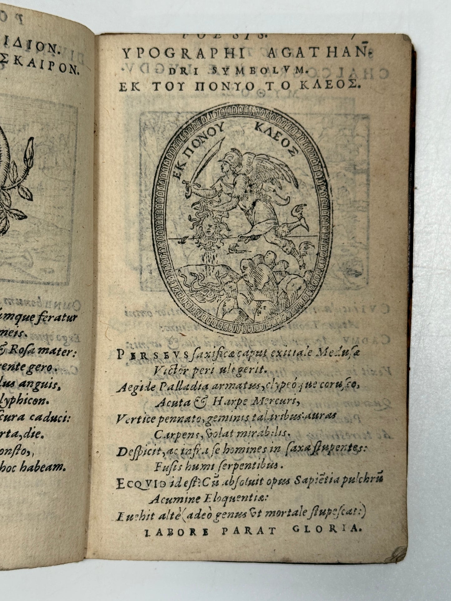 Picta Poesis 1564 Barthelemy Aneau