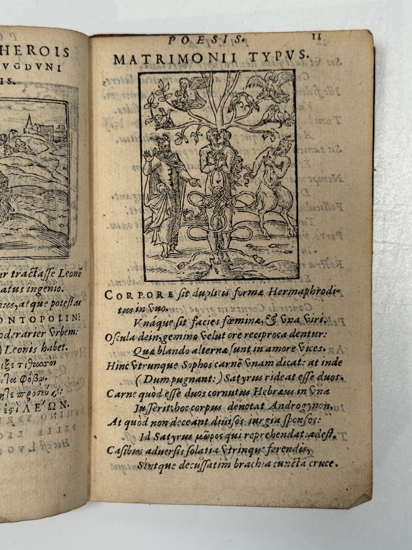 Picta Poesis 1564 Barthelemy Aneau