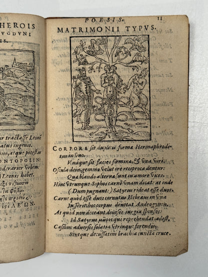 Picta Poesis 1564 Barthelemy Aneau