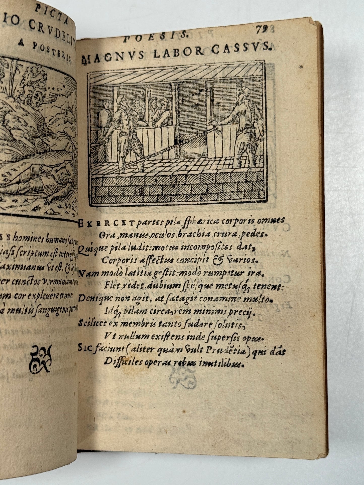 Picta Poesis 1564 Barthelemy Aneau