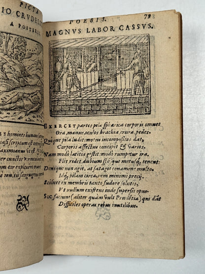 Picta Poesis 1564 Barthelemy Aneau