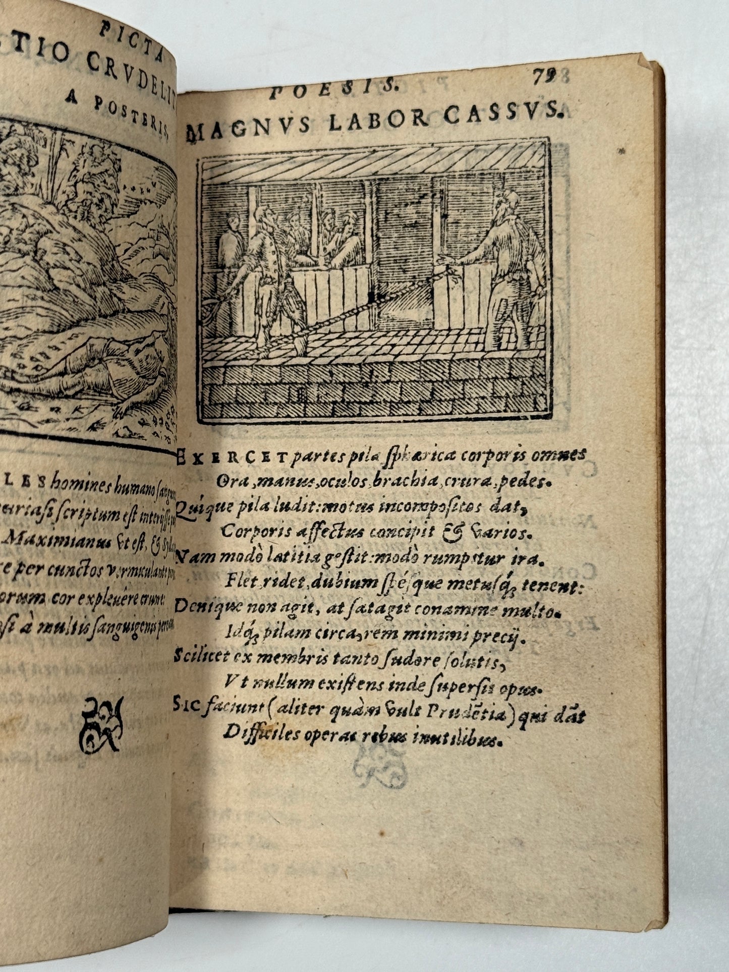 Picta Poesis 1564 Barthelemy Aneau