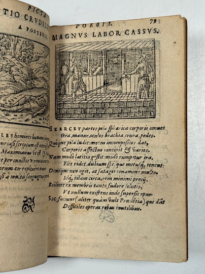 Picta Poesis 1564 Barthelemy Aneau