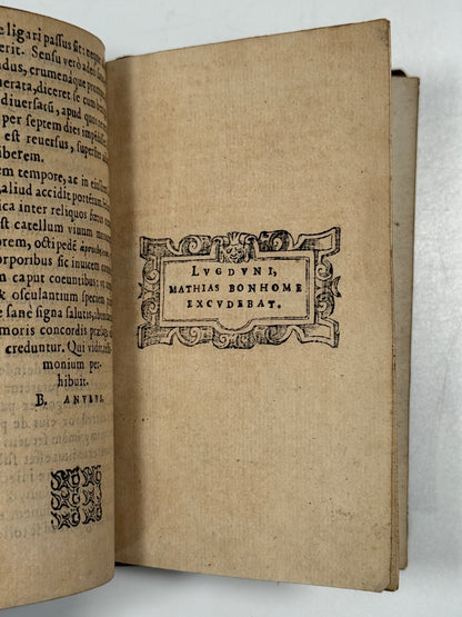 Picta Poesis 1564 Barthelemy Aneau