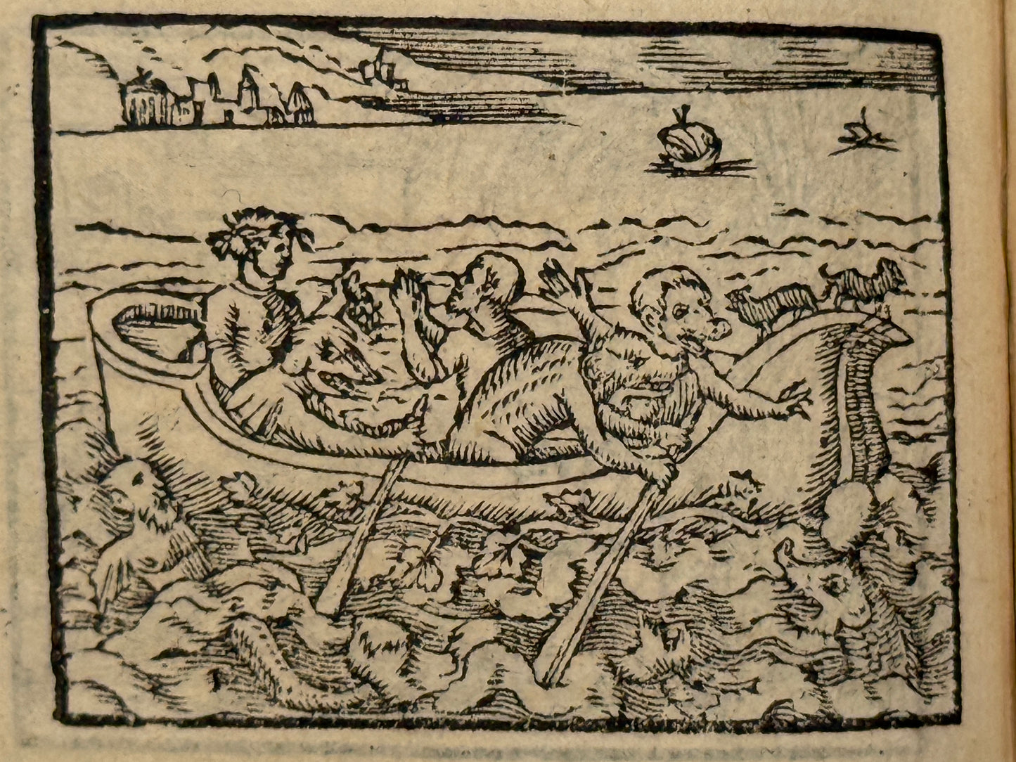 Picta Poesis 1564 Barthelemy Aneau