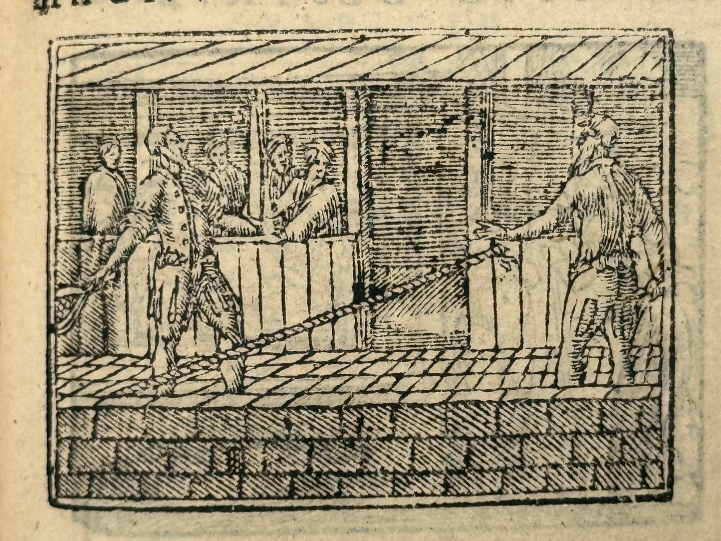 Picta Poesis 1564 Barthelemy Aneau