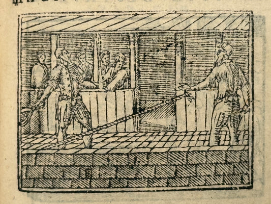 Picta Poesis 1564 Barthelemy Aneau