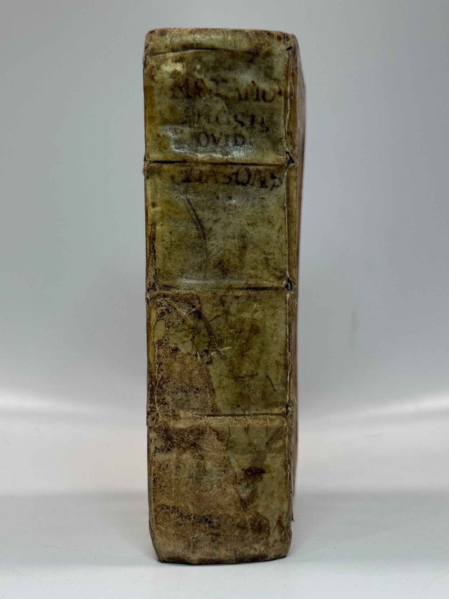 The Works of Ovid 1560