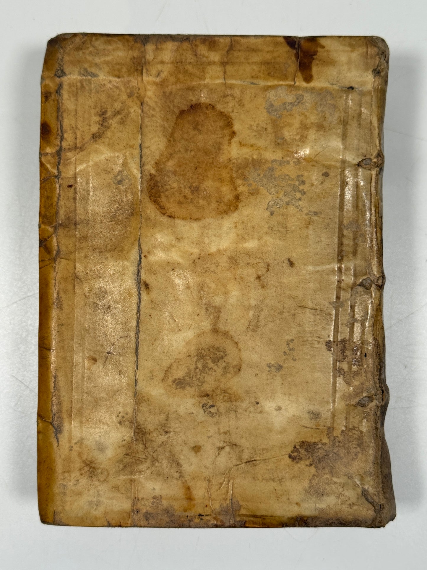 The Works of Ovid 1560