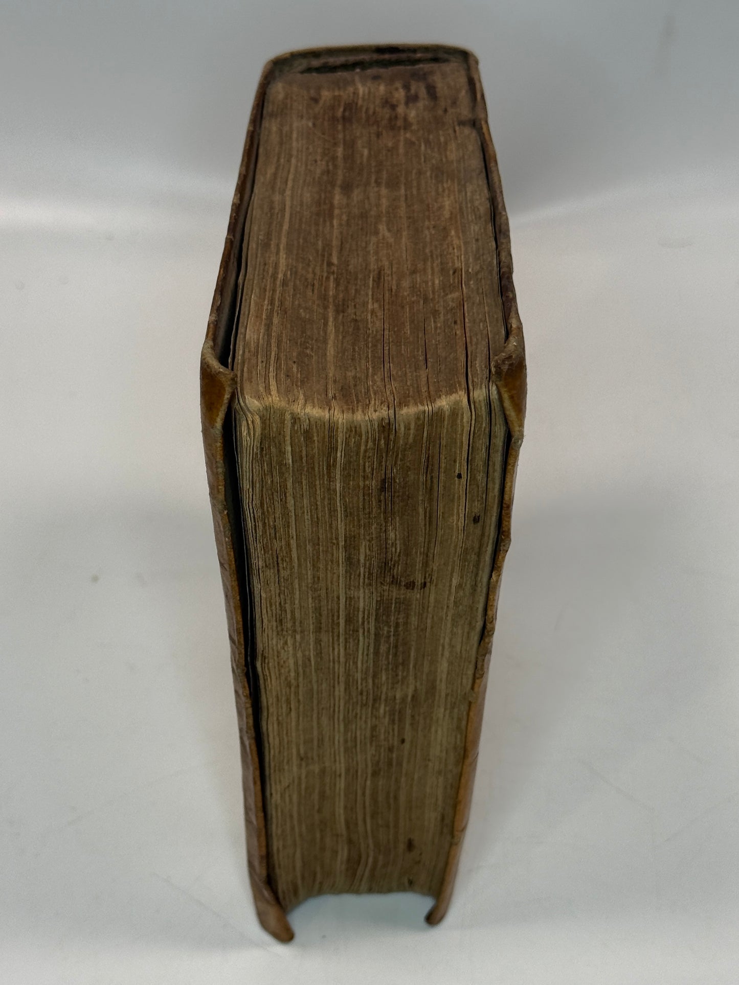 The Works of Ovid 1560