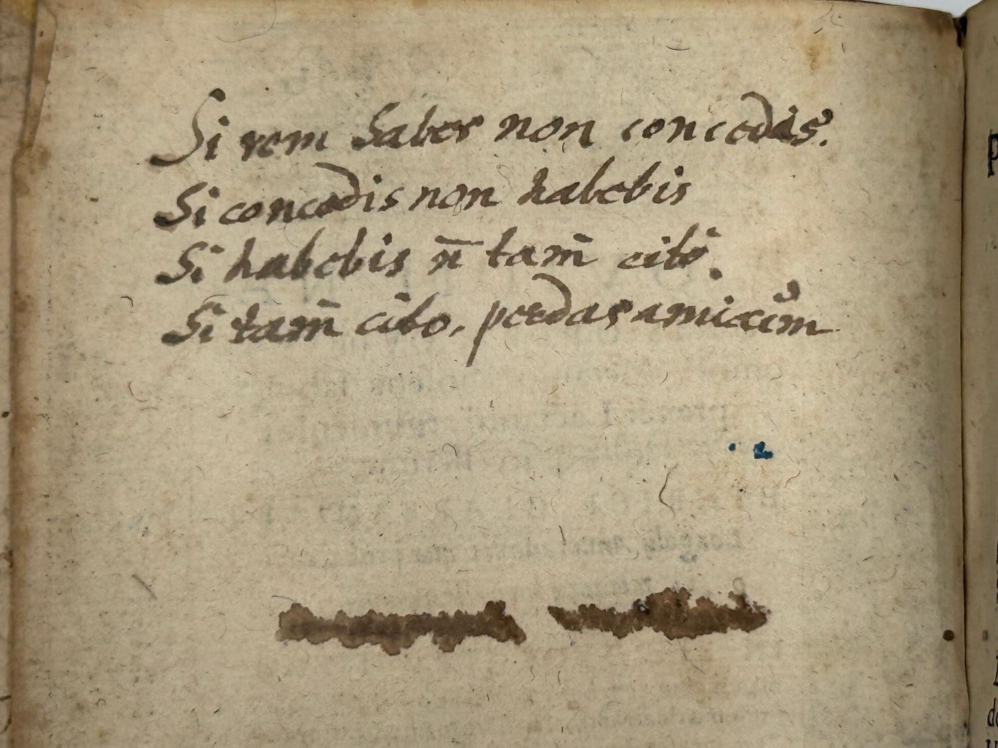 The Works of Ovid 1560