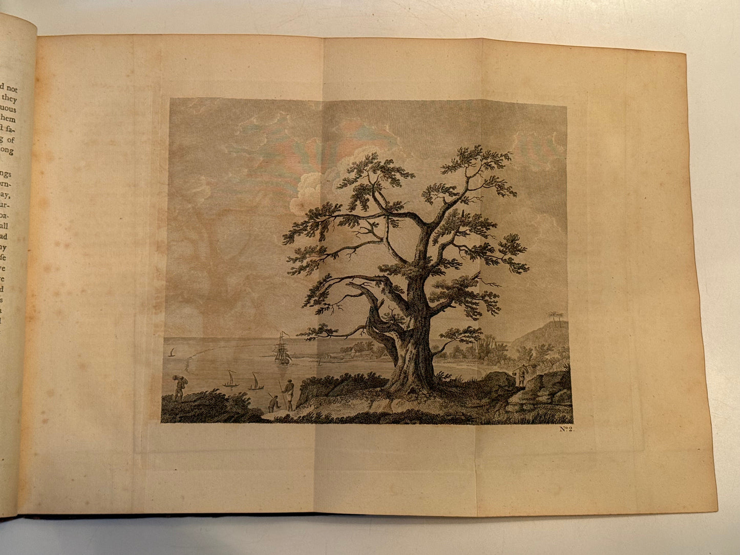 Captain Cook's First Voyage 1773