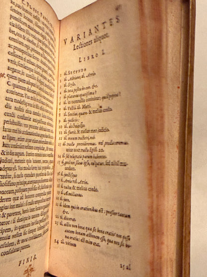 Pliny's Letters 1640 Elzevir Press