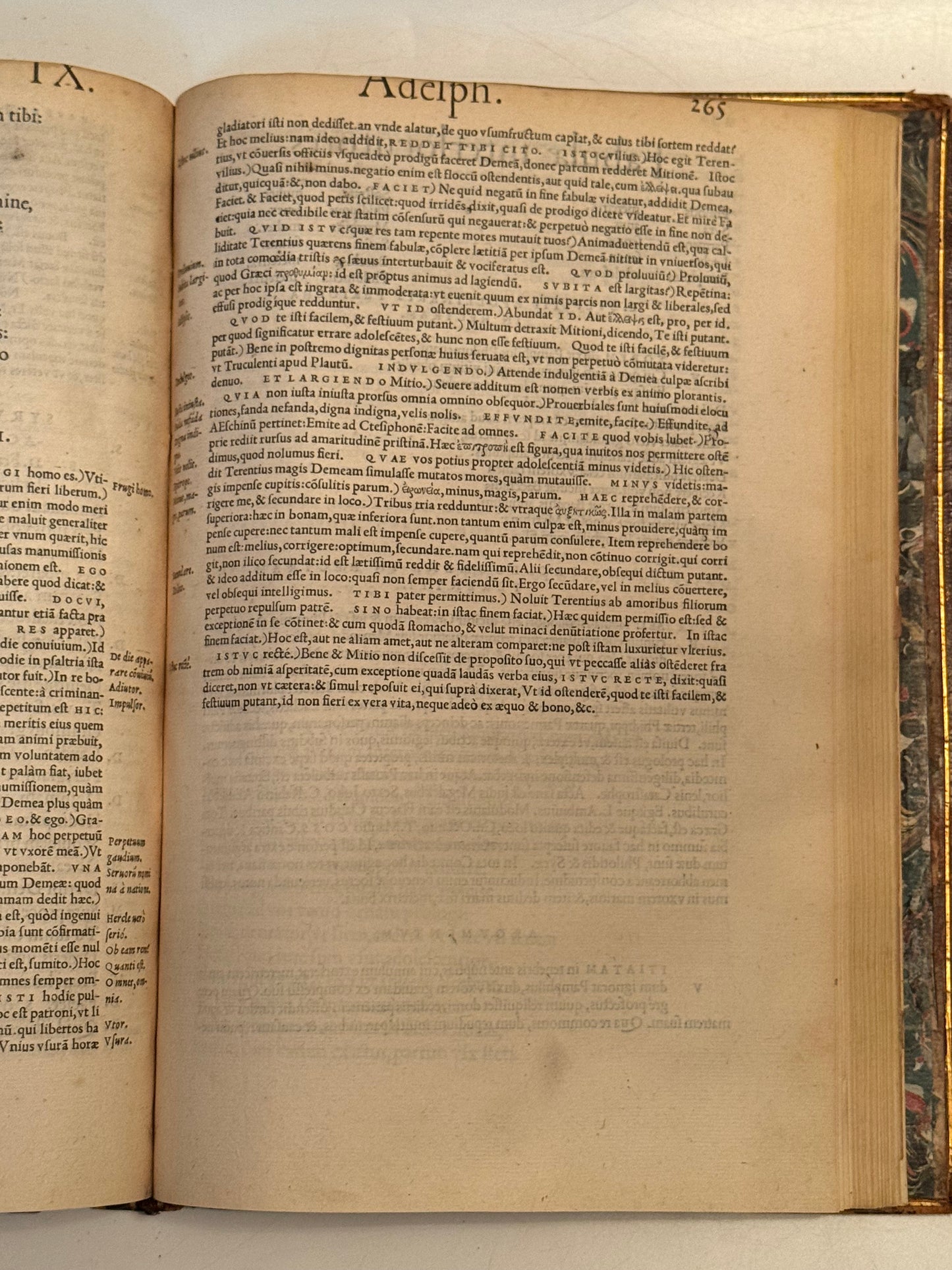 Terence's Comedies 1536