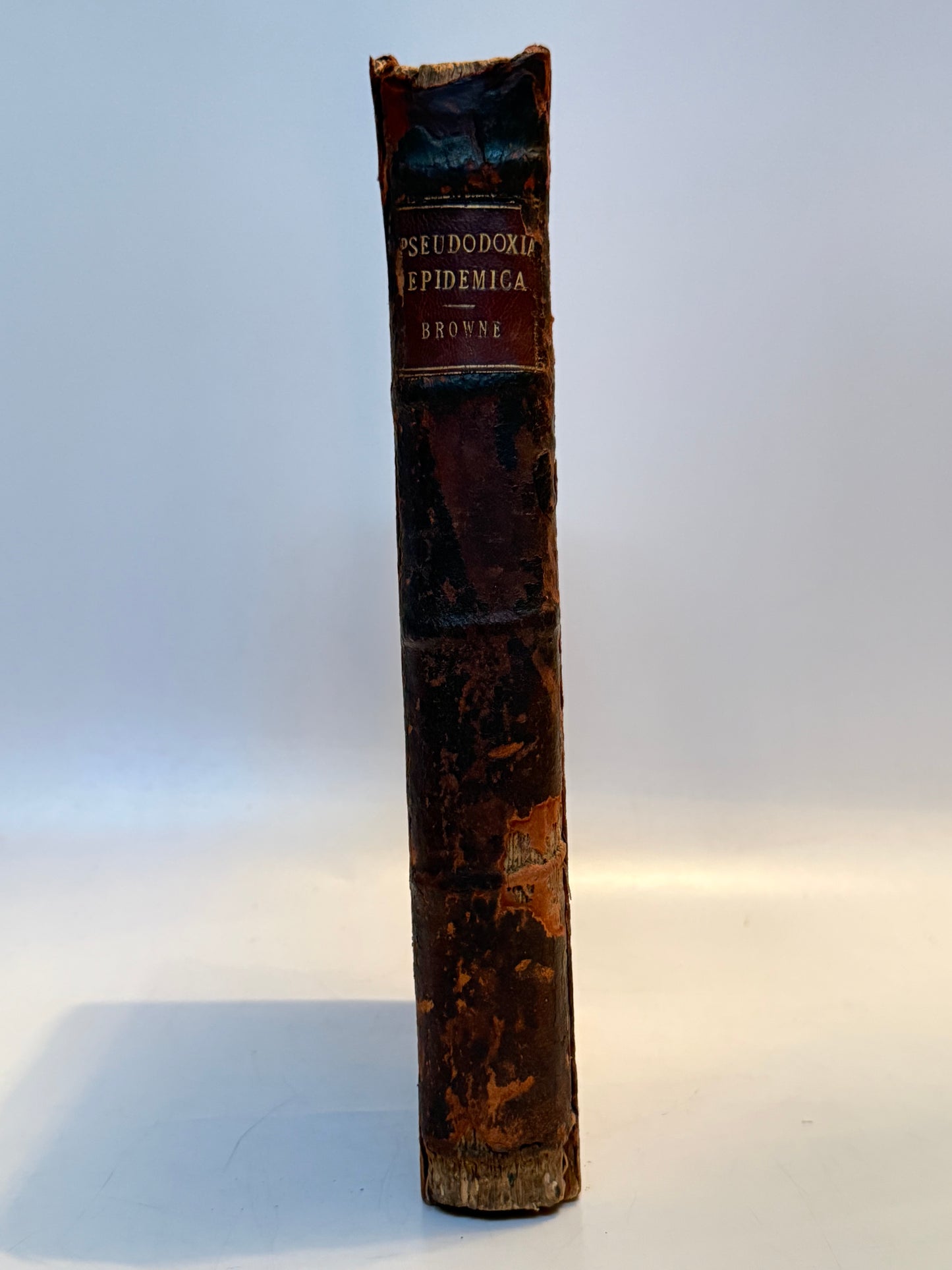 Pseudodoxia Epidemica by Thomas Browne 1650