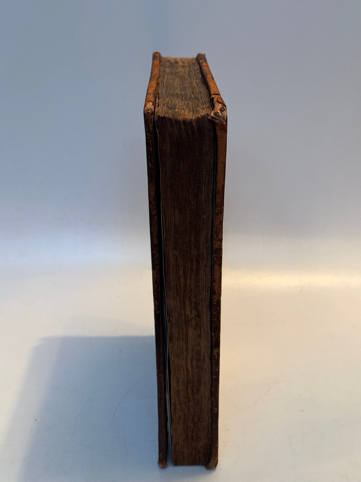 Pseudodoxia Epidemica by Thomas Browne 1650