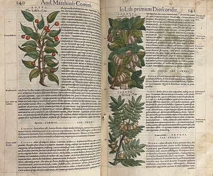 Pietro Andrea Mattioli Herbal 1554 Hand Coloured Woodcuts