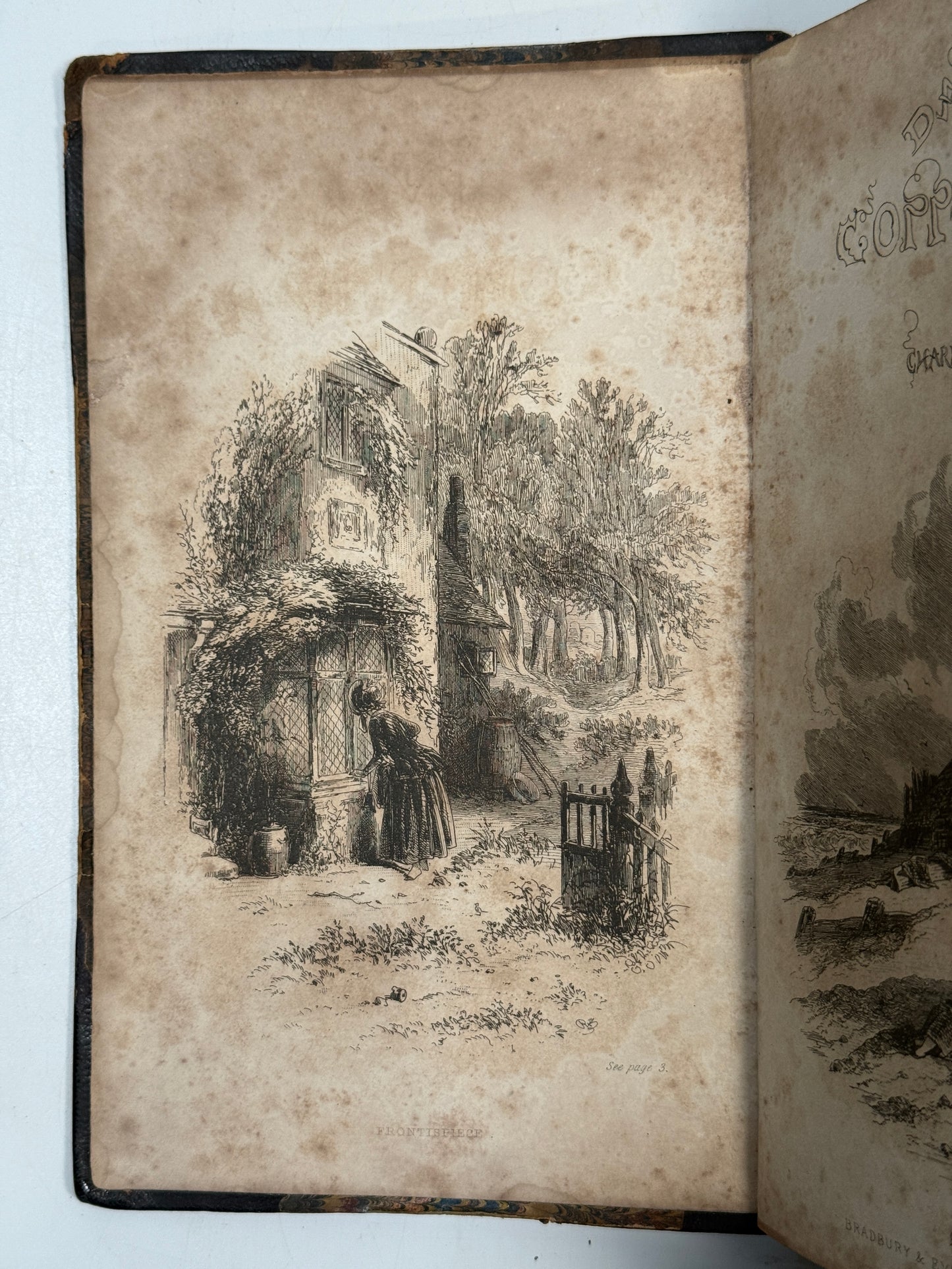 Charles Dickens First Editions Collection