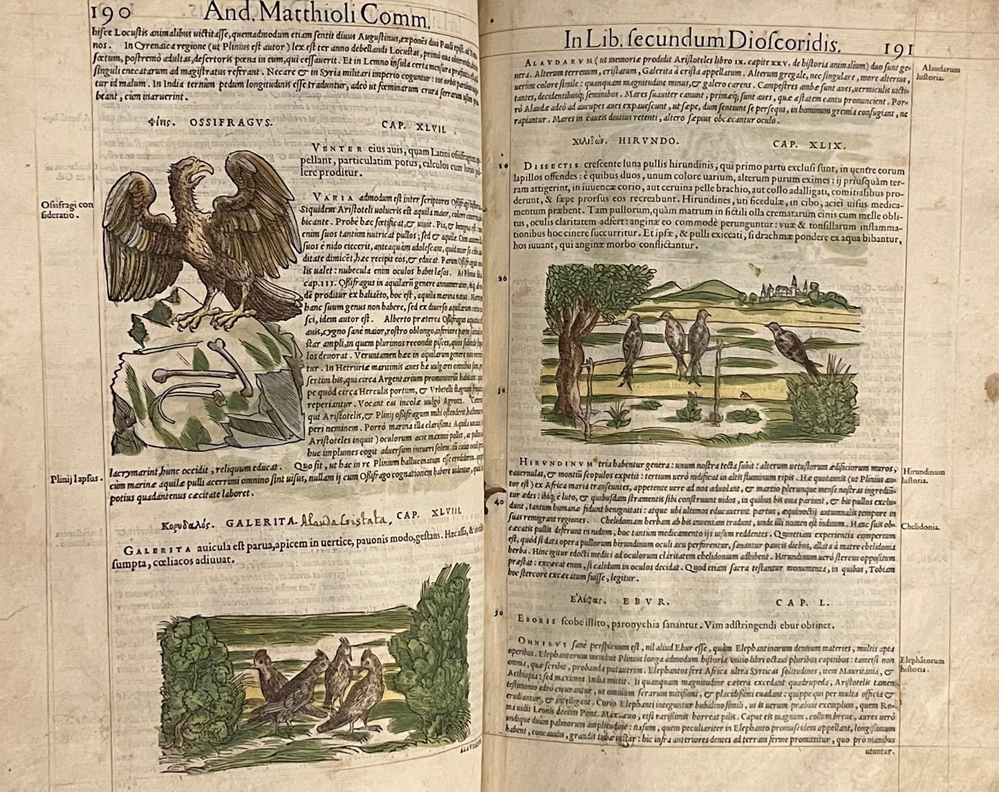 Pietro Andrea Mattioli Herbal 1554 Hand Coloured Woodcuts