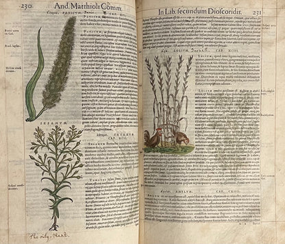 Pietro Andrea Mattioli Herbal 1554 Hand Coloured Woodcuts