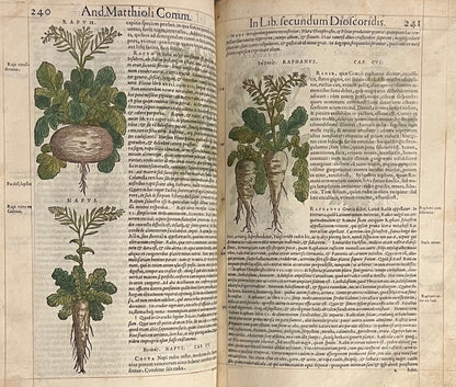 Pietro Andrea Mattioli Herbal 1554 Hand Coloured Woodcuts