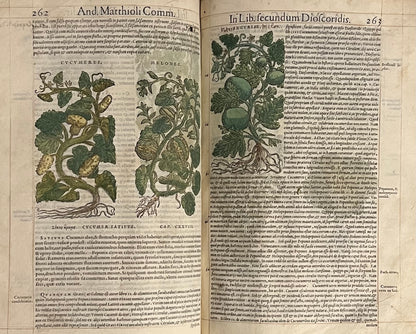 Pietro Andrea Mattioli Herbal 1554 Hand Coloured Woodcuts