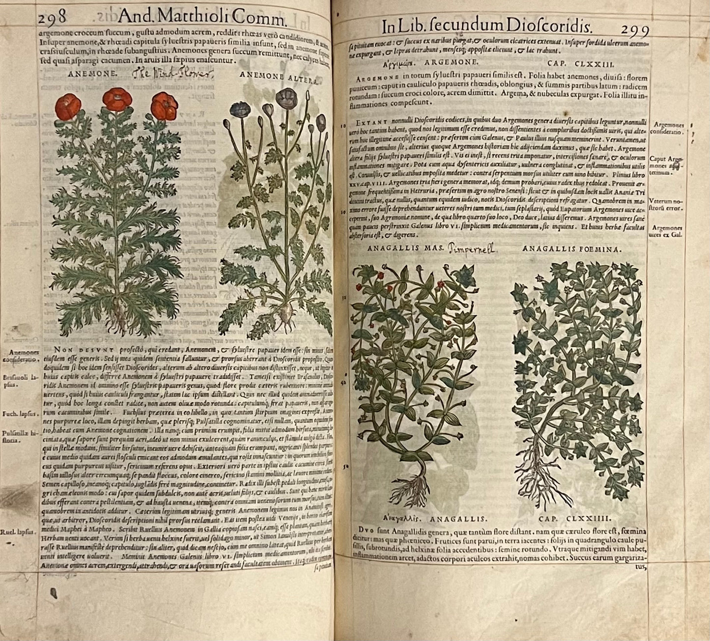 Pietro Andrea Mattioli Herbal 1554 Hand Coloured Woodcuts