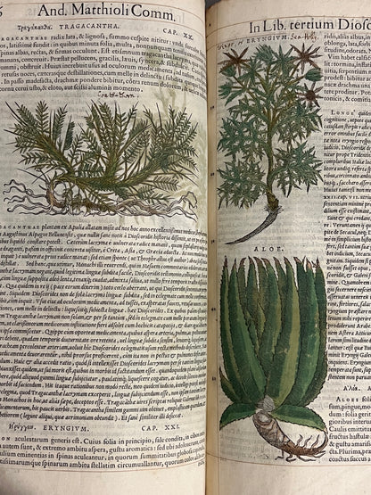 Pietro Andrea Mattioli Herbal 1554 Hand Coloured Woodcuts