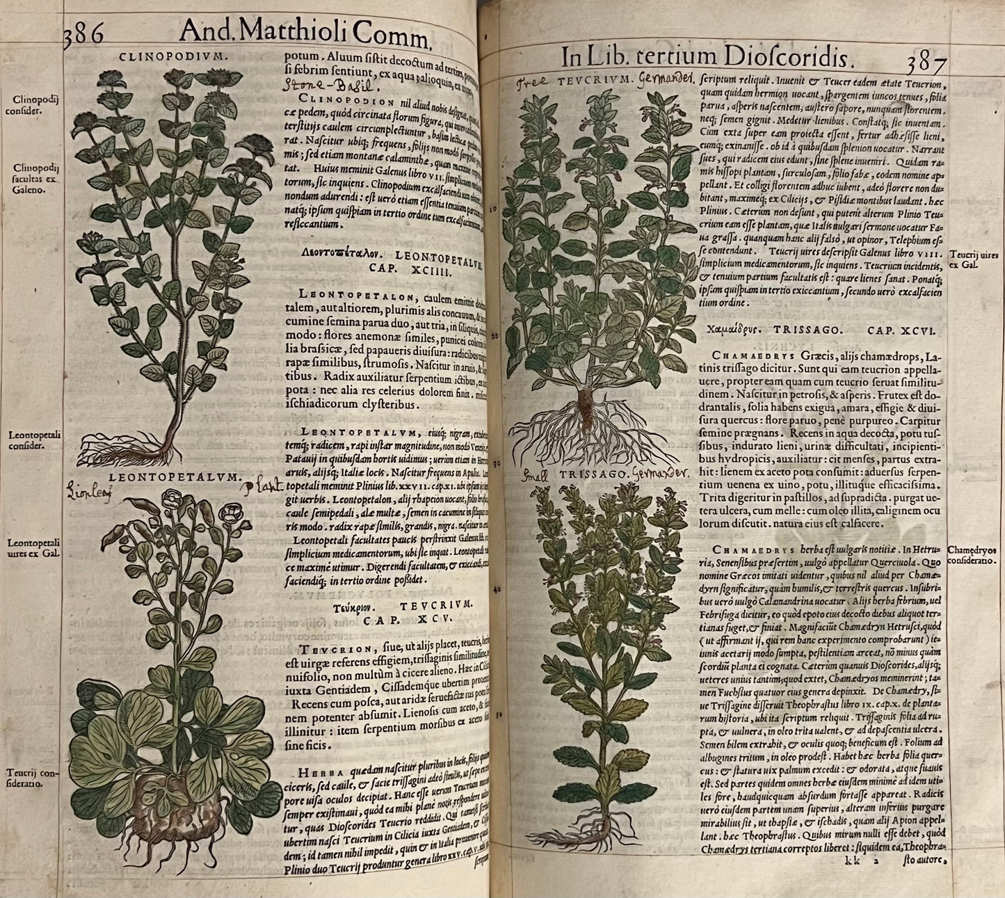 Pietro Andrea Mattioli Herbal 1554 Hand Coloured Woodcuts